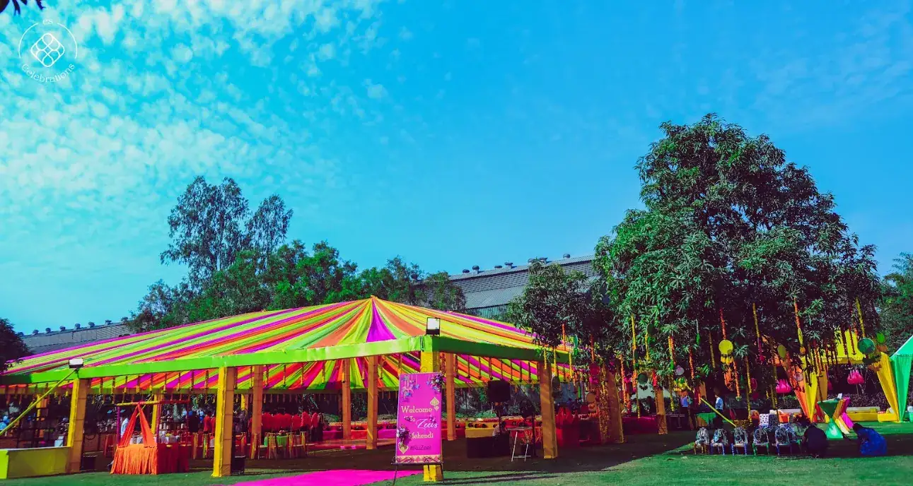 Milestone Celebrations - Image 13