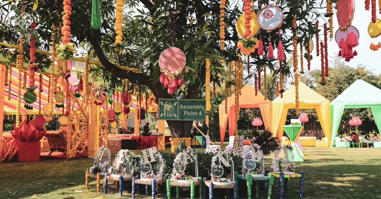 Design, Décor & Styling